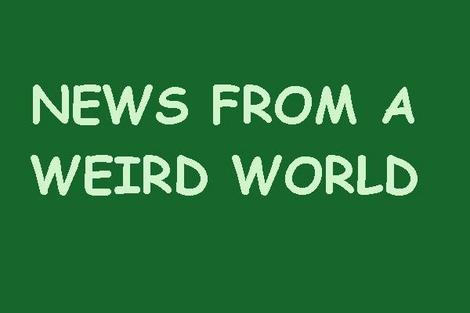 News From A Weird World Offbeat News Weird News Stories